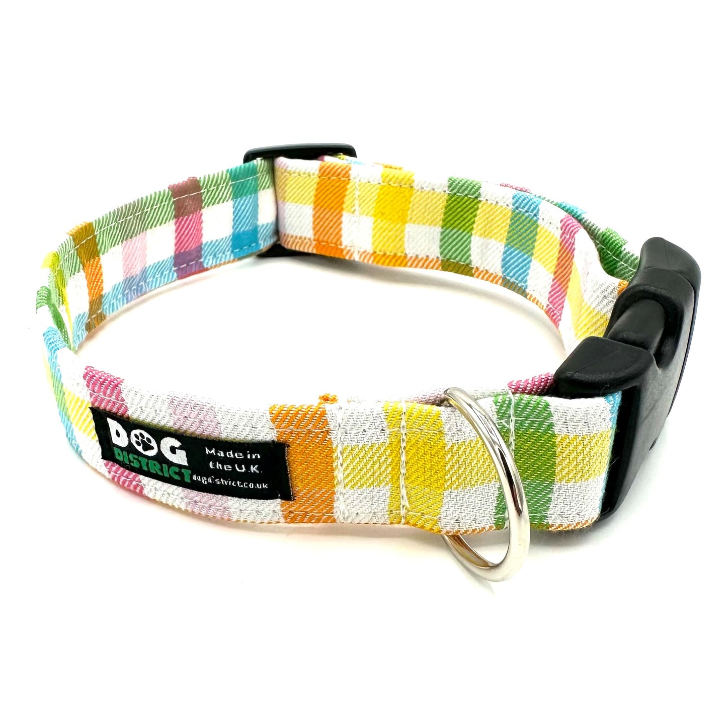 Check Dog Collar Confetti