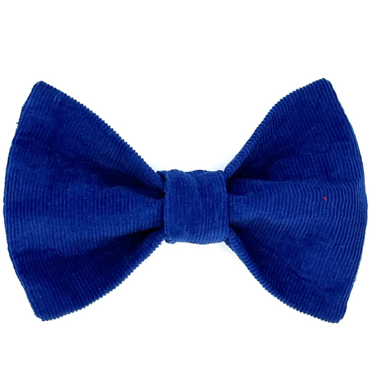 Cord Dog Bow Tie Royal Blue