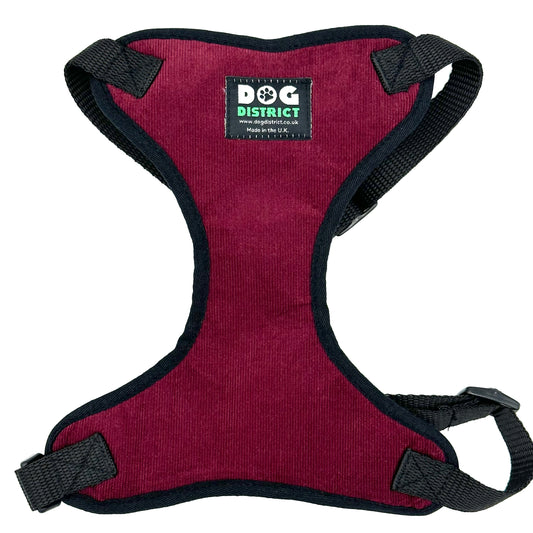 Cord Dog Harness Very Berry
