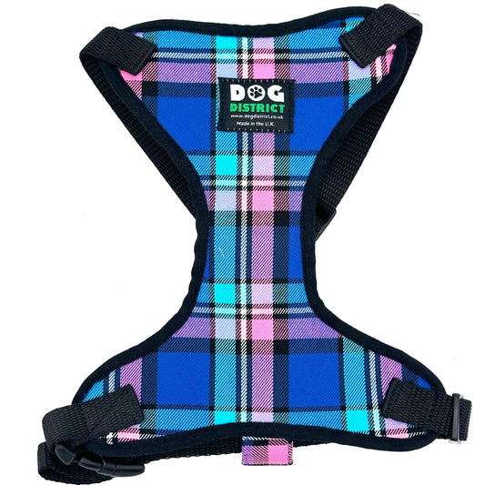 Check Dog Harness Bon Bon