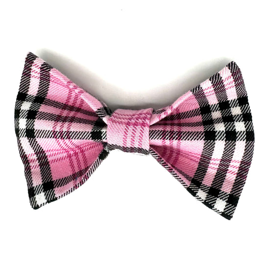 Check Dog Bow Tie Pretty in Pink