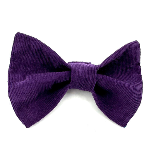 Cord Dog Bow Tie Plum Purple