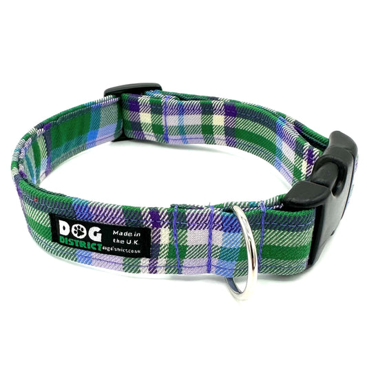 Check Dog Collar Thistle