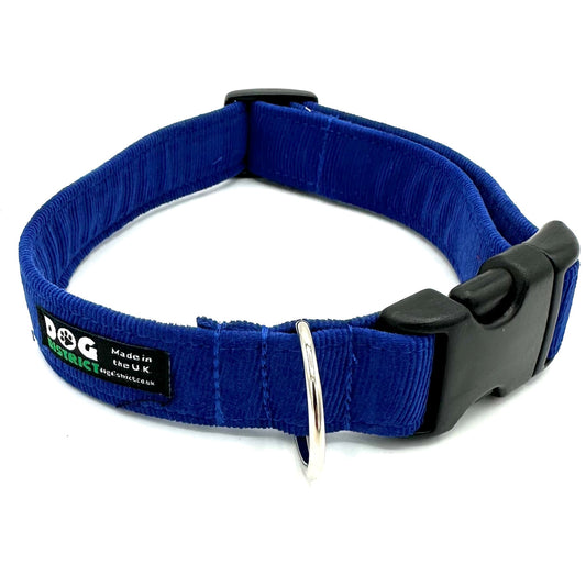 Cord Dog Collar Royal Blue