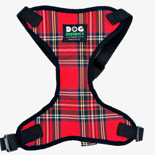 Check Dog Harness Royal Stewart